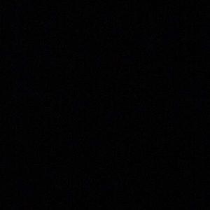 Meet your Posher, Betty